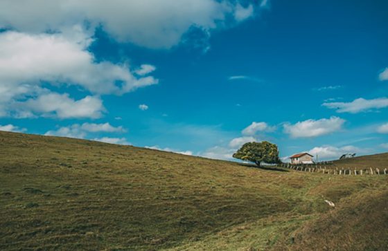 まほうのじゅもん「IE8対応です」がこわい