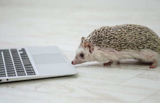 平面を空間に！イージングでアニメーションに命を吹き込む！