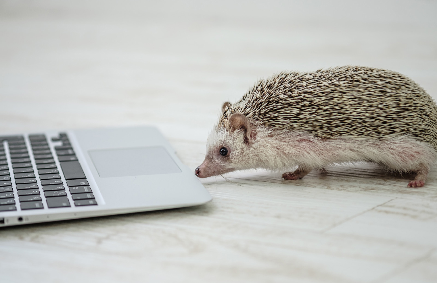 平面を空間に！イージングでアニメーションに命を吹き込む！