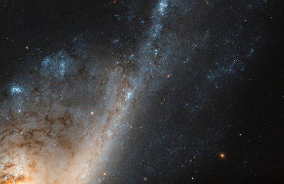 デベロッパーツールでコスモを感じる